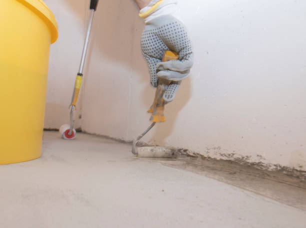 Best Bed Bug Extermination  in Rossford, OH